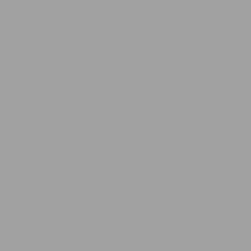 Aluminiumgrau RAL9006